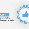 Rankraft : Best Digital Marketing Services Company in India