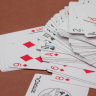 Rummy Card Game Online And Features